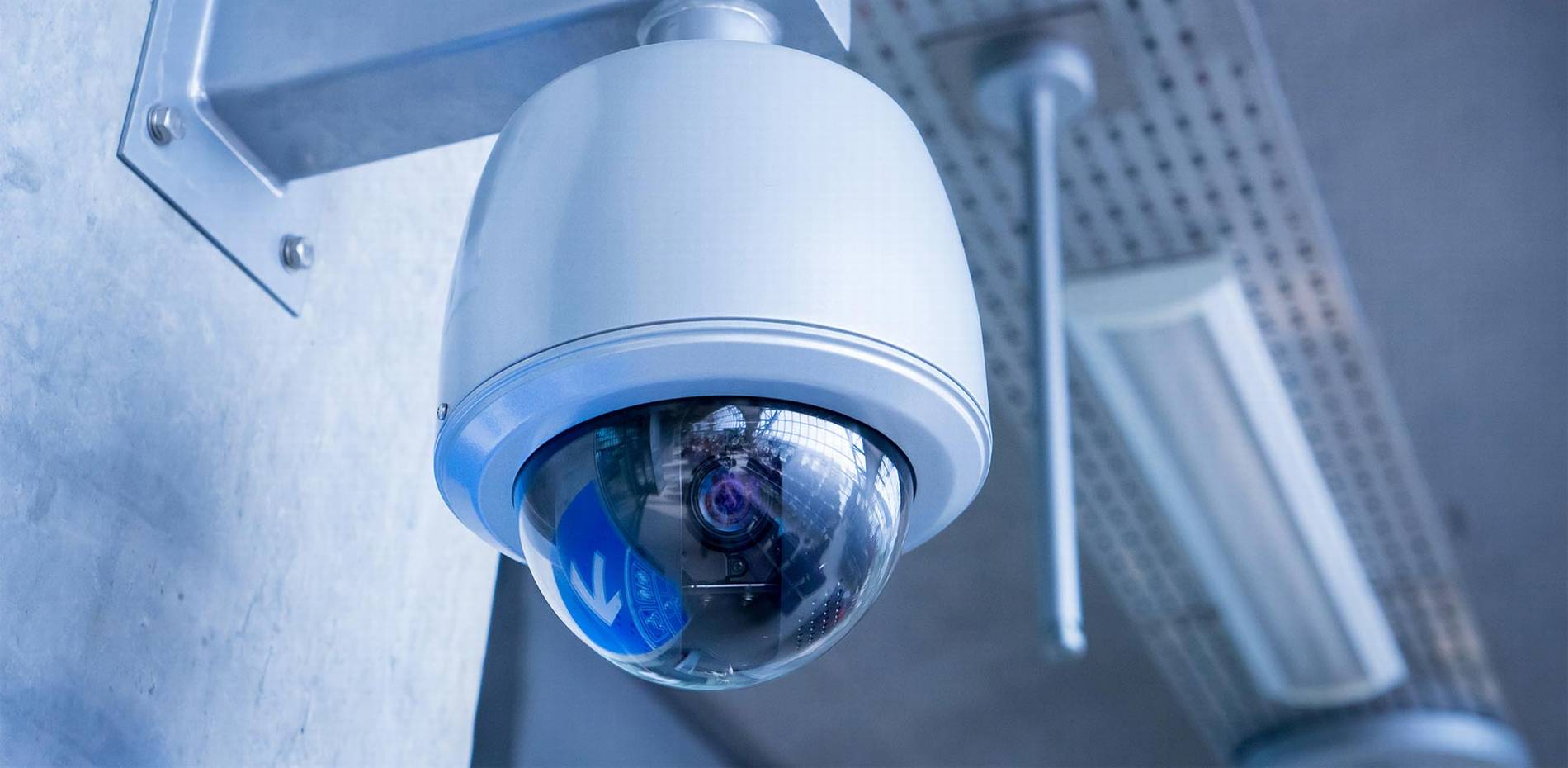 #1 Best Security Camera Company: CAT6 CAT7 CAT8 Network vs Wiring Installer Low Voltage Fiber Optic Royal Palm Beach